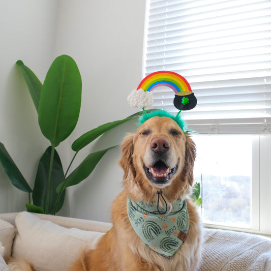 Rainbow Pot of Gold Dog Headband